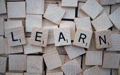 Inner Development Goals und New Learning – Eine neue Ära der Weiterbildung